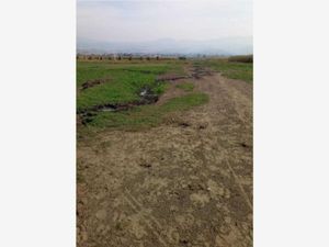 Terreno en Venta en Santa Maria Huexoculco Chalco