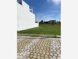 Terreno en Venta en  LOMAS DE ANGELOPOLIS PARQUE COLIMA San Andrés Cholula