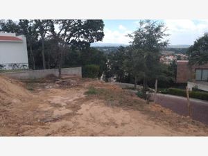 Terreno en Venta en Rancho San Juan Atizapán de Zaragoza