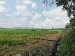 Terreno en Venta en San Agustin Tlajomulco de Zúñiga