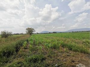 Terreno en Venta en San Agustin Tlajomulco de Zúñiga