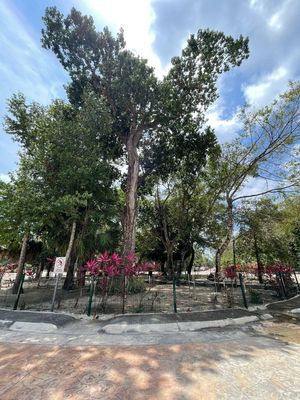 VENTA DE TERRENO EN ALDEA KA'AN PUERTO MORELOS $1,100,000 NEGOCIABLE