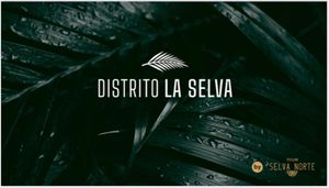 DISTRITO SELVA- TULUM