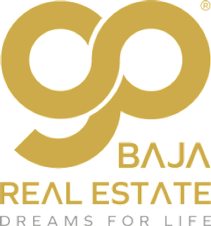 GO Baja Real Estate