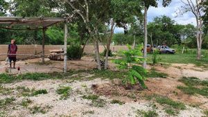 TERRENO EN VENTA A POCAS CALLES DE AVENIDA PRINCIPAL DE CHOLUL, MERIDA.