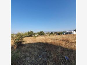 Terreno en Venta en Yecapixtla Yecapixtla