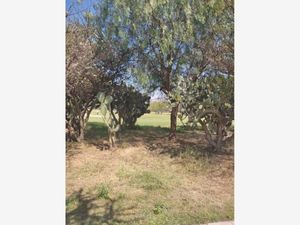 Terreno en Venta en Paseos Tepeji Tepeji del Río de Ocampo