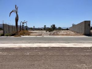 Terreno en Venta en Ciudad Juárez Lerdo