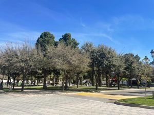 Terreno en Venta en Residencial Cumbres Torreón