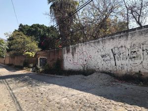 Terreno en Venta en Emiliano Zapata Centro Emiliano Zapata