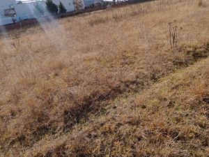 VENDO TERRENO 2.5 HA. EN SAN CRISTOBAL HUICHOCHITLAN. TOLUCA, MEX