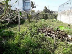 Terreno en Venta en El Morro las Colonias Boca del Río