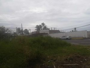 Terreno en Venta en Anton Lizardo Alvarado