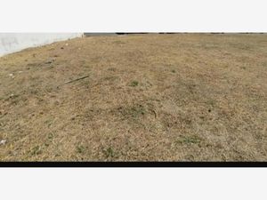 Terreno en Venta en Residencial del Bosque Veracruz