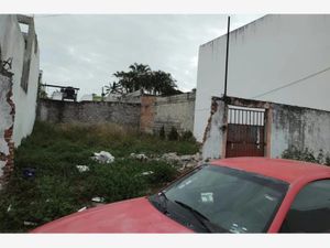 Terreno en Venta en Ricardo Flores Magón Veracruz