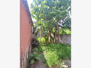 Terreno en Venta en Anton Lizardo Alvarado