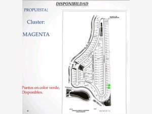 Terreno en Venta en Las Lomas Residencial Alvarado