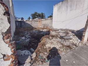 Terreno en Venta en Ricardo Flores Magón Veracruz