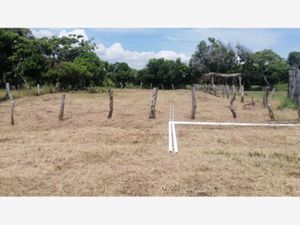 Terreno en Venta en Anton Lizardo Alvarado