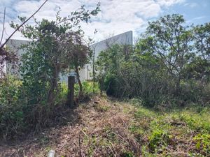 Terreno en Venta en Anton Lizardo Alvarado