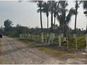 Terreno en Venta en El Zapote Alvarado