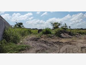 Terreno en Venta en Paso Colorado Boca del Río