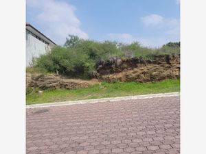 Terreno en Venta en Rancho San Juan Atizapán de Zaragoza