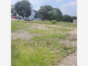 Terreno en Venta en Rancho San Juan Atizapán de Zaragoza