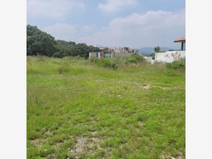 Terreno en Venta en Rancho San Juan Atizapán de Zaragoza