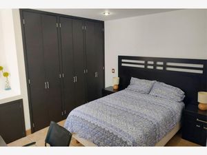 Departamento en Venta en Jardin San Luis Potosí