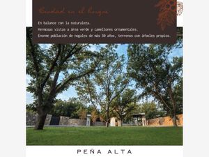 Terreno en Venta en Peña Alta Saltillo