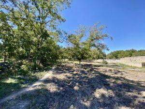 Terreno en Venta en Parras de la Fuente Centro Parras