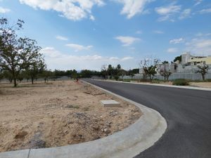 Terreno en Venta en La Aurora Saltillo