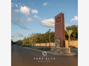 Terreno en Venta en Peña Alta Saltillo