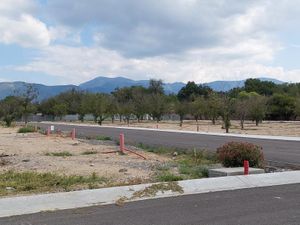 Terreno en Venta en La Aurora Saltillo