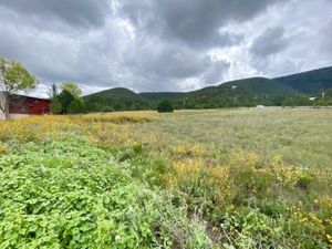 Terreno en Venta en San Antonio de las Alazanas Arteaga