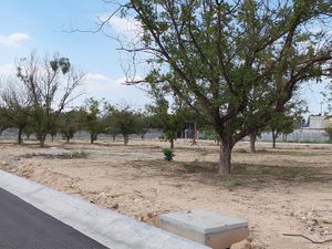 Terreno en Venta en La Aurora Saltillo