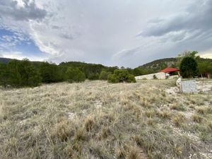 Terreno en Venta en San Antonio de las Alazanas Arteaga