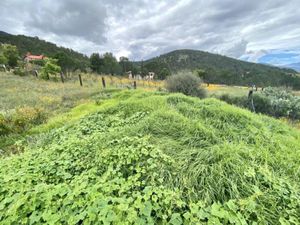 Terreno en Venta en San Antonio de las Alazanas Arteaga