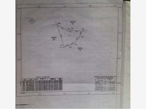 Terreno en Venta en San Martin Cachihuapan Villa del Carbón