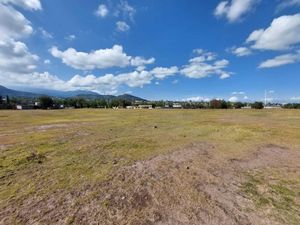 Terreno en Venta en La Purificación Tepetitla Texcoco