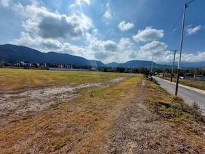 Terreno en Venta en La Purificación Tepetitla Texcoco