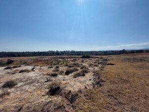 Terreno en Venta en San Martin Cachihuapan Villa del Carbón