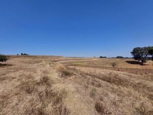 Terreno en Venta en San Martin Cachihuapan Villa del Carbón