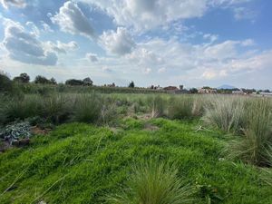 Terreno en Venta en Cacalomacán Centro Toluca