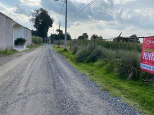 Terreno en Venta en Cacalomacán Centro Toluca