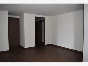 Departamento en Venta en Pedregal de Carrasco Coyoacán