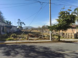 Terreno en Venta en Santa Cruz de la Loma (tepetates) Tlajomulco de Zúñiga