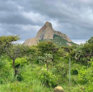 TERRENO EN VENTA, Peña de Bernal, Pueblo Mágico