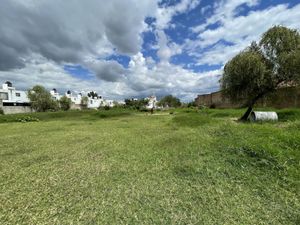 Terreno en Venta en Las Pintitas Centro El Salto